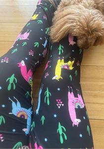 Deluxe Leggings Llama and Cactus