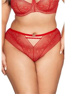 Red Embroidered Lace Brief by Ava