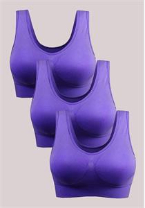 Pack of 3 Purple Plus Size Seamless Bra D+