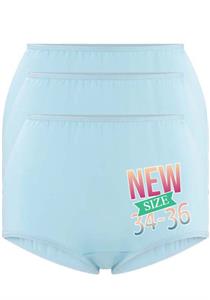 Pk of 3 Ultra Soft Microfiber Full Brief (Blue)