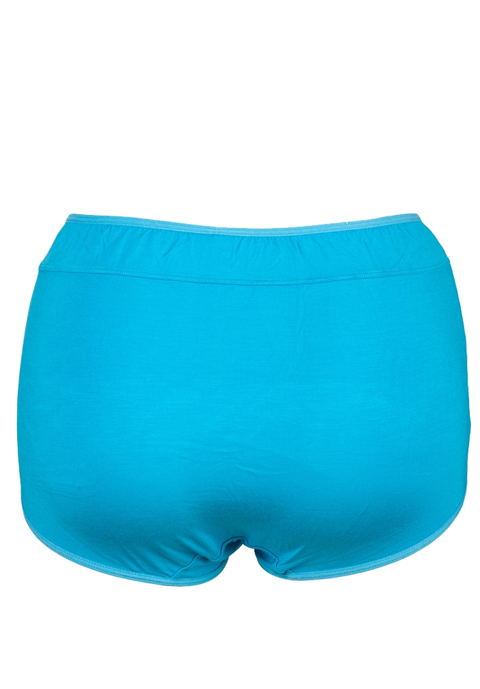 Comfy Cotton Full Brief Panty Blue - Plus Size Bras
