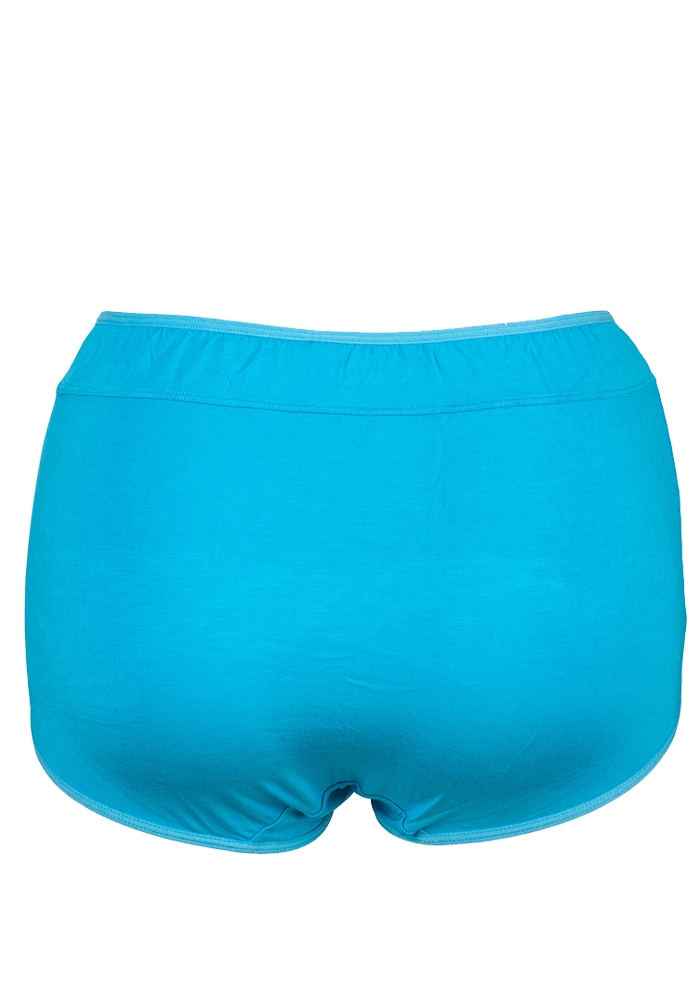 Cotton Full Brief Panty