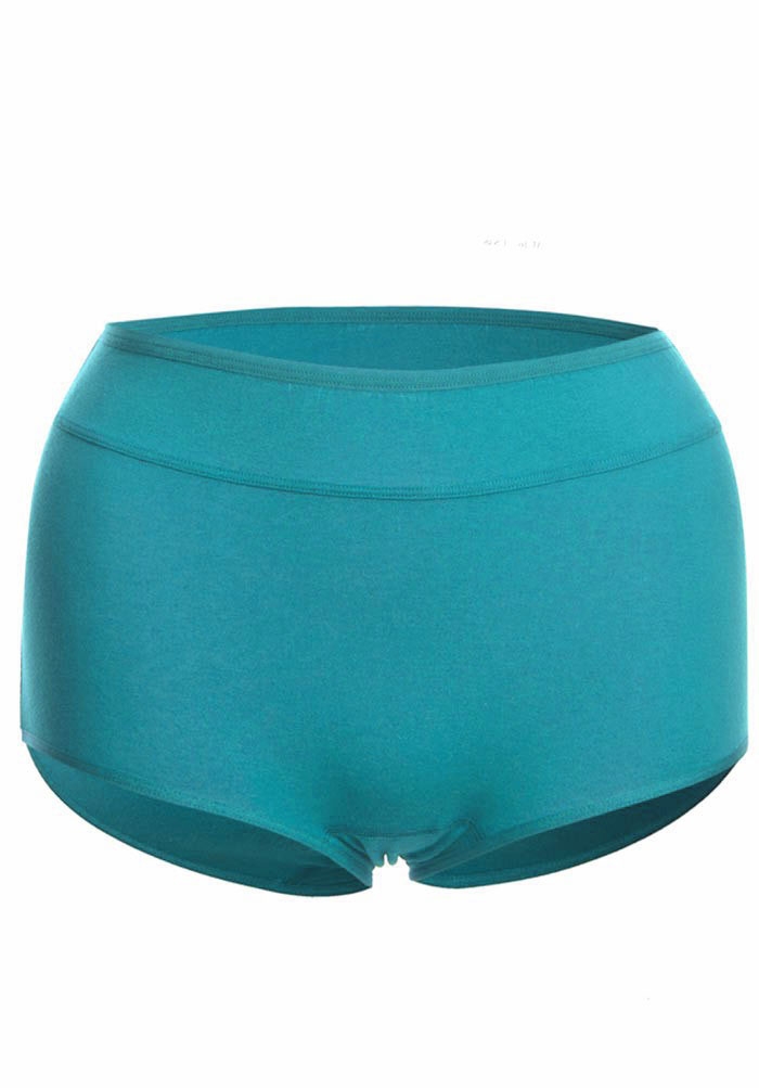 Comfy Cotton Full Brief Panty - Bessi