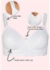 Soft Cotton Cup with Lace Bra Ivory - Plus Size Bras